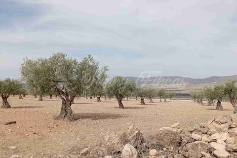Finca i Yecla, Murcia, Yecla - € 350.000 | Ref: SF0507 - foto 5